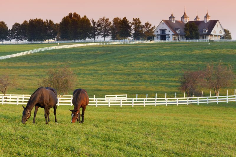 Equine Fence Installation in Roseville, CA