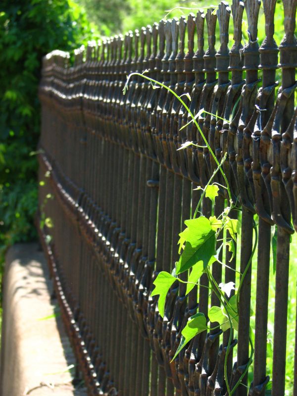 Ornamental Iron Fence Service in Alpharetta, GA