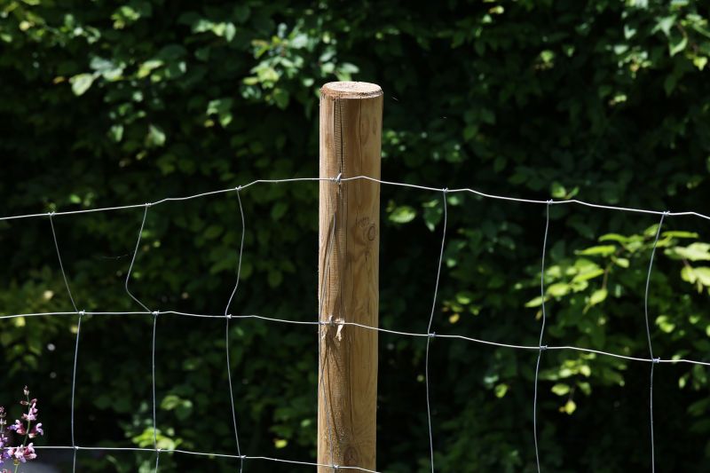 Pine Fence Installation in Sacramento, CA