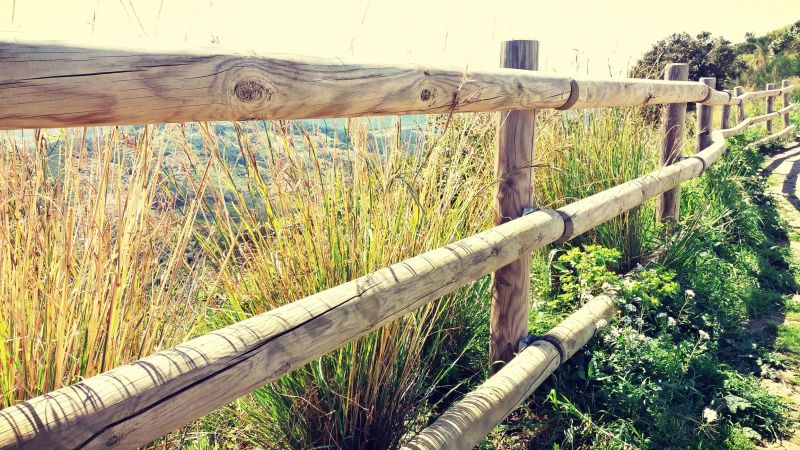 Timber Fence Installation in Sacramento, CA