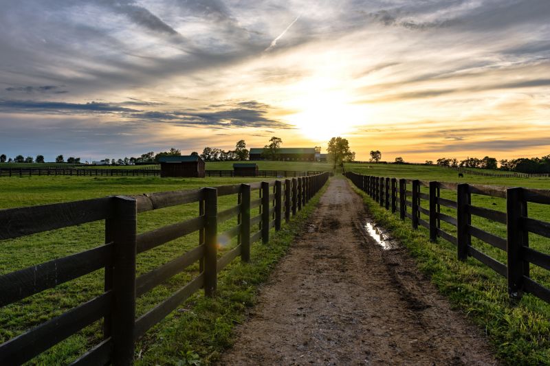 Wooden Farm Fence Installation in Roseville, CA